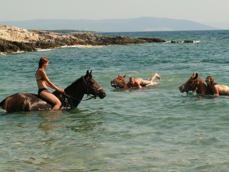 Mare